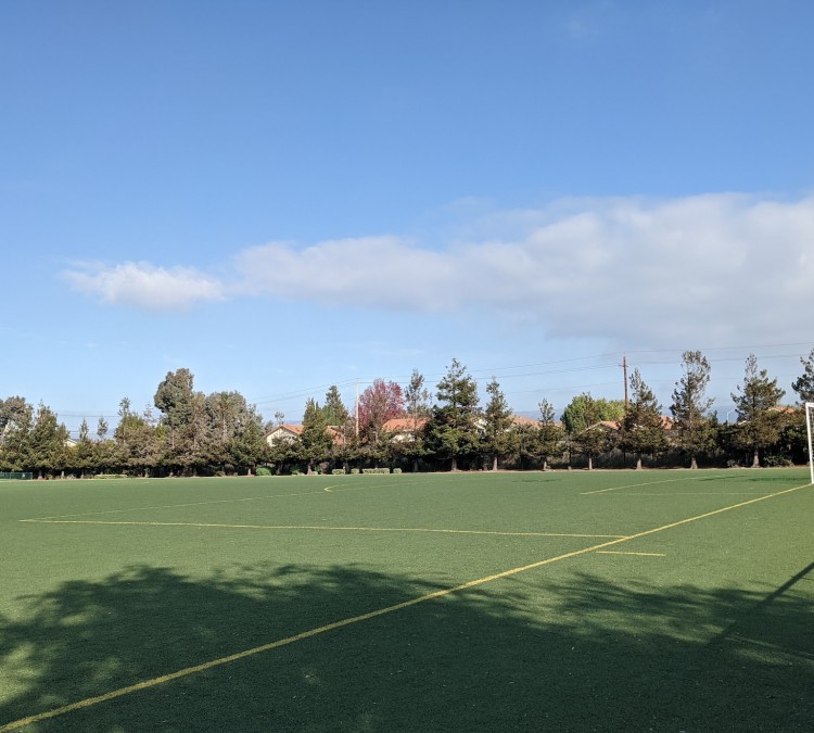 accinelli-park-soccer-field-1-photo